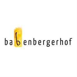 Babenbergerhof C. Breyer GmbH, Mödling Öffnungszeiten