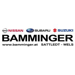 Bamminger Kraftfahrzeuge GesmbH, Sattledt Öffnungszeiten