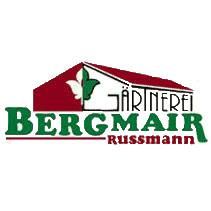 Bergmair-Russmann Engelbert, Grünburg Öffnungszeiten