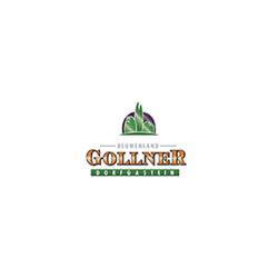 Blumenland Gollner GmbH, Dorfgastein Öffnungszeiten