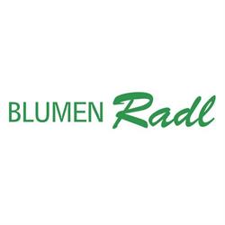 Blumen Radl, Wien Öffnungszeiten