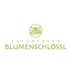 Salzburger Blumenschlössl GmbH - Kunstblumenbinderei, Öffnungszeiten