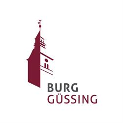 Burg Güssing, Öffnungszeiten