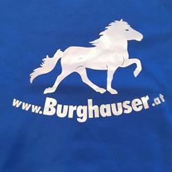 Islandpferdereithof Burghauser, Straßwalchen Öffnungszeiten
