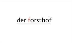 Pension Forsthof, St. Johann im Pongau Öffnungszeiten