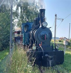 Rhein-Schauen Museum und Rheinbähnle, Lustenau Öffnungszeiten