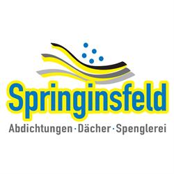 Springinsfeld SV GmbH, St. Johann in Tirol Öffnungszeiten
