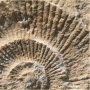 Muschelkalk - Naturstein-Vertrieb, Hitzendorf Öffnungszeiten