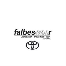 Autohaus Falbesoner, Birgitz Öffnungszeiten