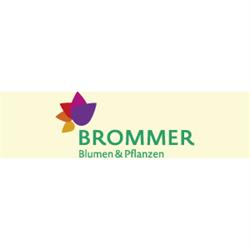Blumen Brommer KG - Fleurop Service, Klagenfurt am Wörthersee Öffnungszeiten