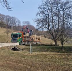 Dorner-Holz, Neufurth Öffnungszeiten