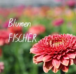 Blumen Fischer, Straßgang, Pirka - Öffnungszeiten