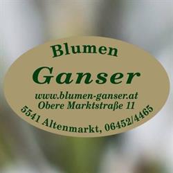 Blumen Ganser, Altenmarkt, Altenmarkt im Pongau - Öffnungszeiten