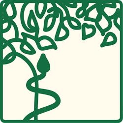 Linden-Apotheke Mag.pharm. Gerstmayr KG, Waldegg, Linz - Öffnungszeiten