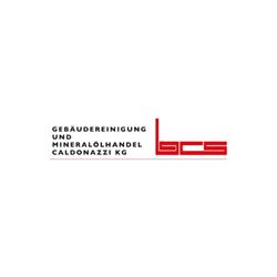 BCS Gebäudereinigung e.U., Bludesch Öffnungszeiten