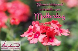 Blumen Bitschnau, Vandans Öffnungszeiten