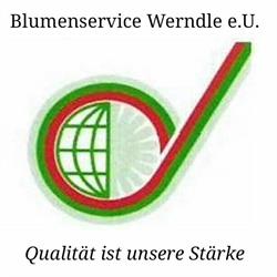 Blumenservice Werndle e.U., Ebbs Öffnungszeiten