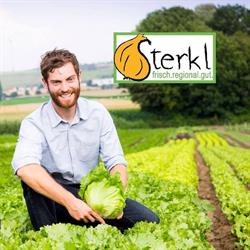 Sterkl GmbH, Statzendorf Öffnungszeiten