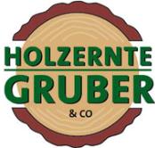 Anton Gruber Holzernte u. Transporte GmbH, Gaal Öffnungszeiten
