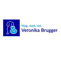 Dipl-TA Veronika Brugger, Zell am See Öffnungszeiten