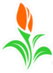 Blumen Schlögl, Loosdorf Öffnungszeiten