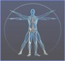 Dr. Med. Univ. Michael Forbelsky - Facharzt Für Orthopädie und Orthopädische Chirurgie, Traiskirchen Öffnungszeiten