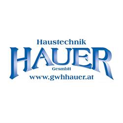 Hauer Installationen, Litschau Öffnungszeiten