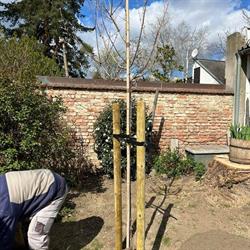 Katona Bau und Garten GesmbH, Ebreichsdorf Öffnungszeiten