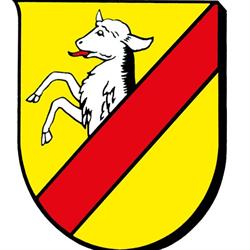 Stadtgemeindeamt Neumarkt, Neumarkt am Wallersee Öffnungszeiten