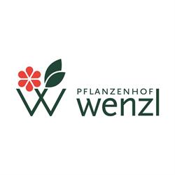 Pflanzenhof Wenzl GmbH, Waldneukirchen Öffnungszeiten