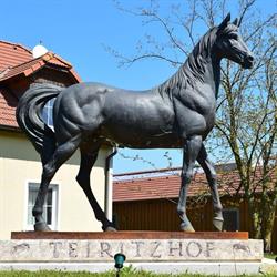 Teiritzhof REIT- und Zuchtgmbh, Korneuburg, Stetten - Öffnungszeiten
