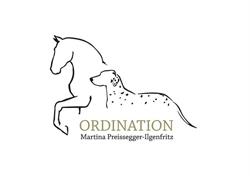Mag. Martina Preissegger-Ilgenfritz, Villach Öffnungszeiten
