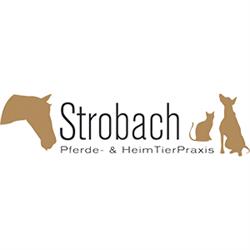Tierarzt Strobach, Ternitz Öffnungszeiten