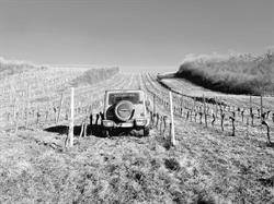 Weinrieder e.U., Kleinhadersdorf Öffnungszeiten