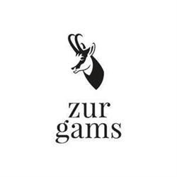 zurgams Kommunikationsagentur GmbH, Dornbirn Öffnungszeiten