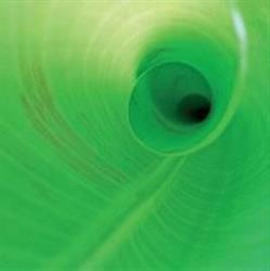 Greentec Gartengestaltungen GmbH, Wien-Umgebung, Purkersdorf - Öffnungszeiten