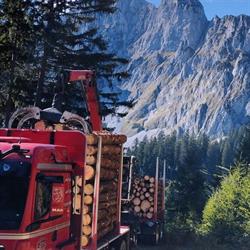 Golob Transporte und Holzernte Holzschlägerung, Knittelfeld, Spielberg - Öffnungszeiten