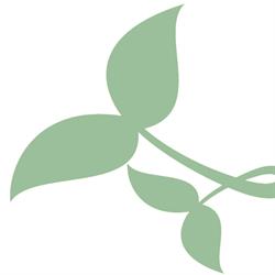 Fahrngruber Silke - Massageinstitut Stadtbad Steyr, Öffnungszeiten