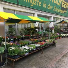 Blumen Maureen, Feldbach Öffnungszeiten