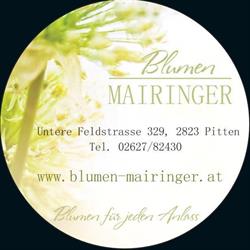 Blumenhandel Barbara Mairinger-Kammerer, Pitten Öffnungszeiten