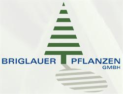 Briglauer Pflanzen, Raab Öffnungszeiten