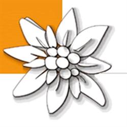 WM SHOP SCHLADMING, Schladming Öffnungszeiten