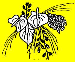 Ursula Lehner-Fochler - Blumen Ursula Friedhofgärtnerei, Urfahr, Linz - Öffnungszeiten