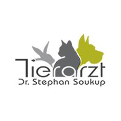 Dipl-TA Dr. Stephan Soukup, Fischamend Öffnungszeiten