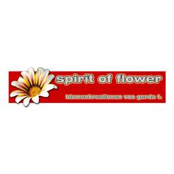 Spirit of Flower Blumenfachgeschäft Gerda Tögel, Steyr Öffnungszeiten