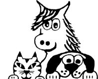 Tierarztpraxis Mag. Kathrin Jungwirth, Tierarzt in Oberbairing, Niederbairing Öffnungszeiten