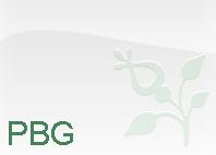 Mag. Petra Biechl Grain, Mödling Öffnungszeiten