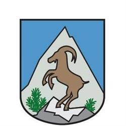 Gemeinde Mittelberg Immobilienverwaltungsgesellschaft mbH und Co. Keg., Bregenz, Riezlern - Öffnungszeiten