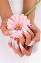Monika Neuwirth - Exklusiv Nagelstudio Monika, Krems an der Donau Öffnungszeiten