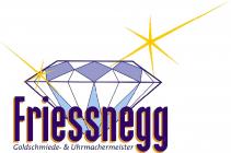 Udo Friessnegg, Villach Öffnungszeiten